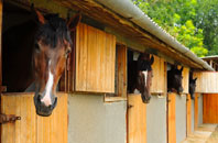 free Kelvedon Hatch stable construction quotes